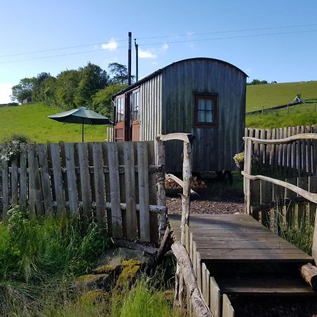Eco Accommodation Cornflower Craven Arms Εξωτερικό φωτογραφία