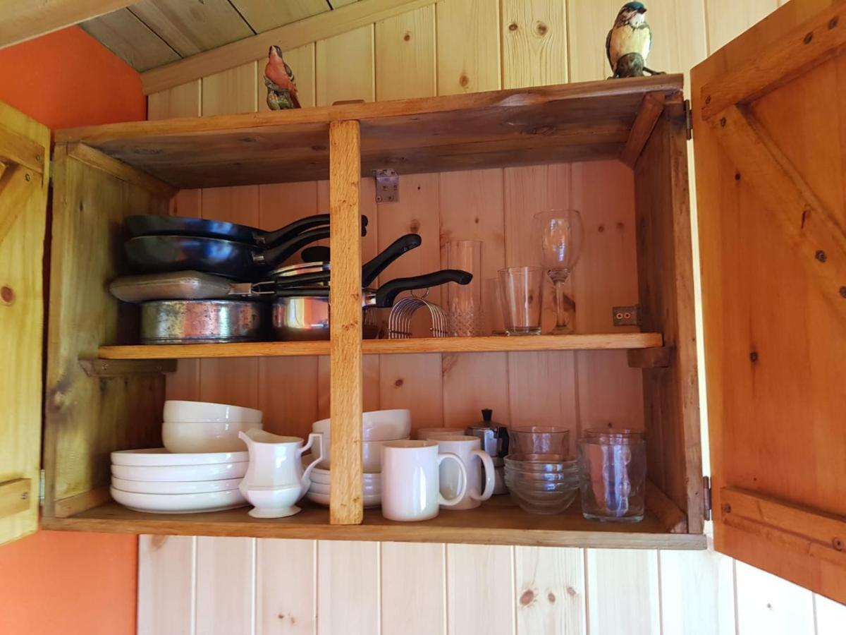 Eco Accommodation Cornflower Craven Arms Εξωτερικό φωτογραφία