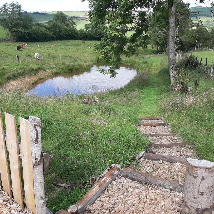 Eco Accommodation Cornflower Craven Arms Εξωτερικό φωτογραφία