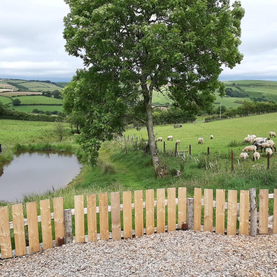 Eco Accommodation Cornflower Craven Arms Εξωτερικό φωτογραφία
