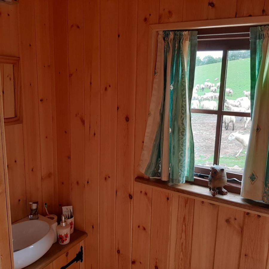 Eco Accommodation Cornflower Craven Arms Εξωτερικό φωτογραφία
