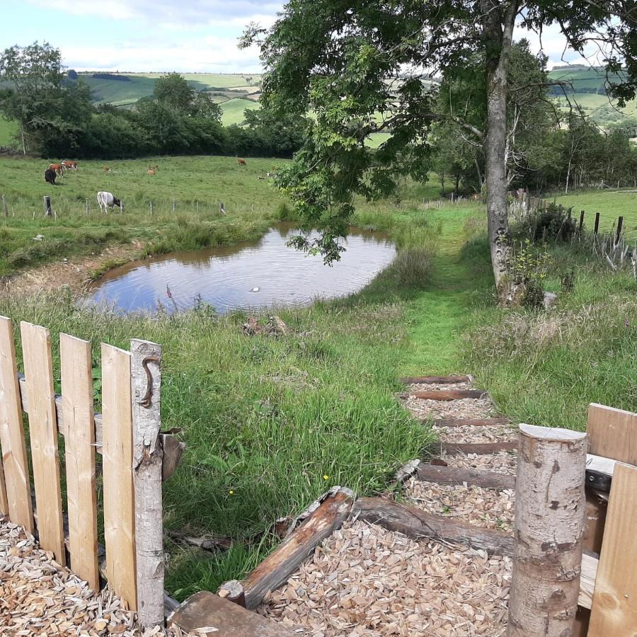 Eco Accommodation Cornflower Craven Arms Εξωτερικό φωτογραφία