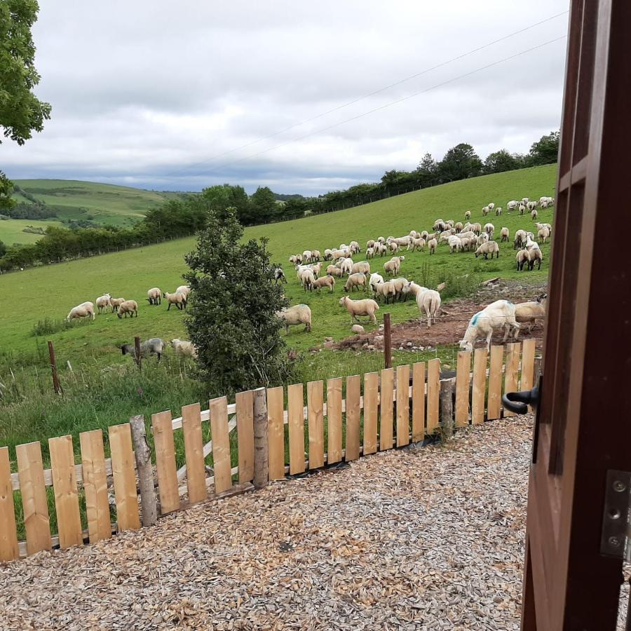 Eco Accommodation Cornflower Craven Arms Εξωτερικό φωτογραφία