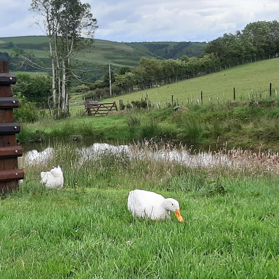 Eco Accommodation Cornflower Craven Arms Εξωτερικό φωτογραφία