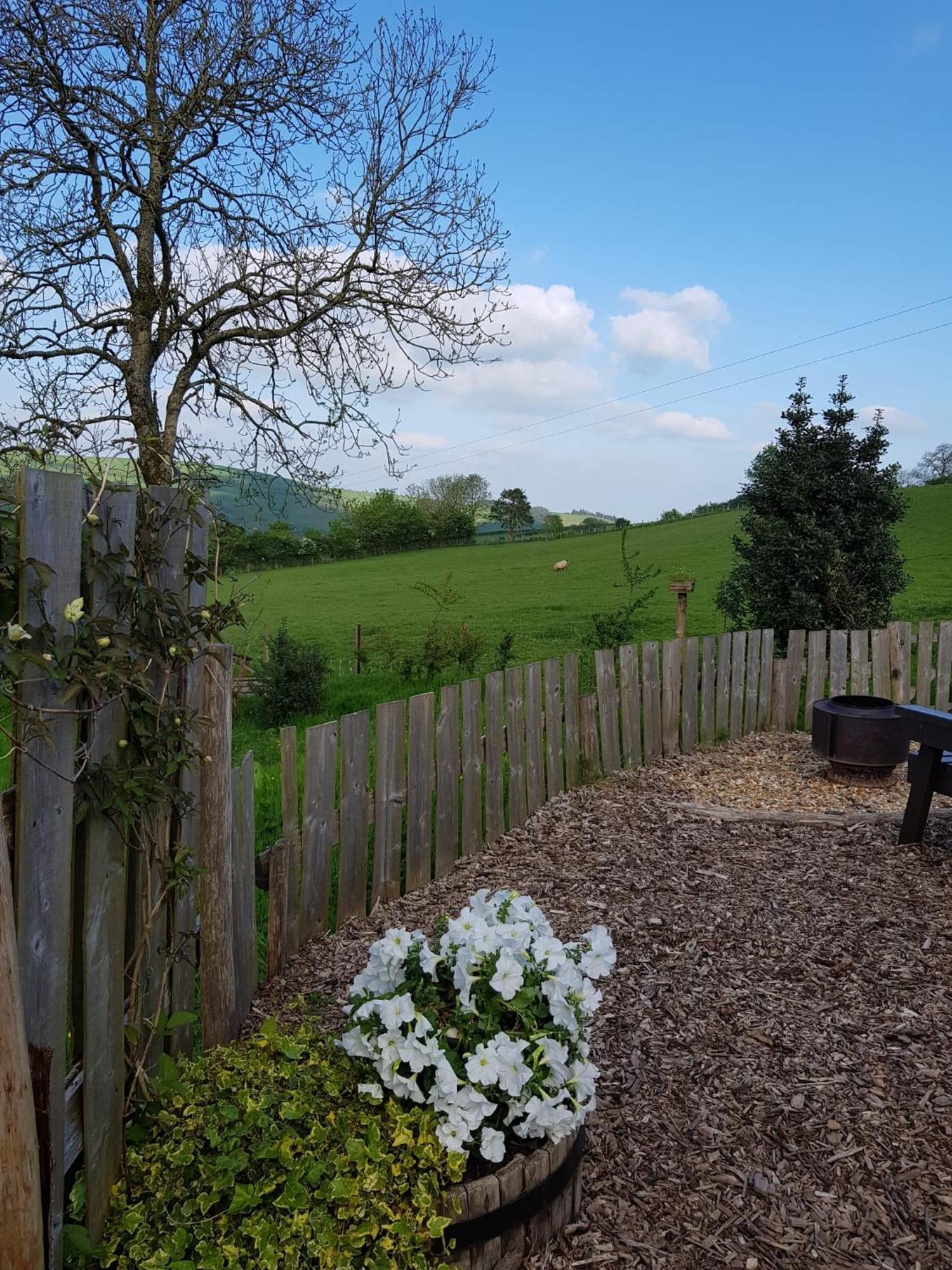 Eco Accommodation Cornflower Craven Arms Εξωτερικό φωτογραφία
