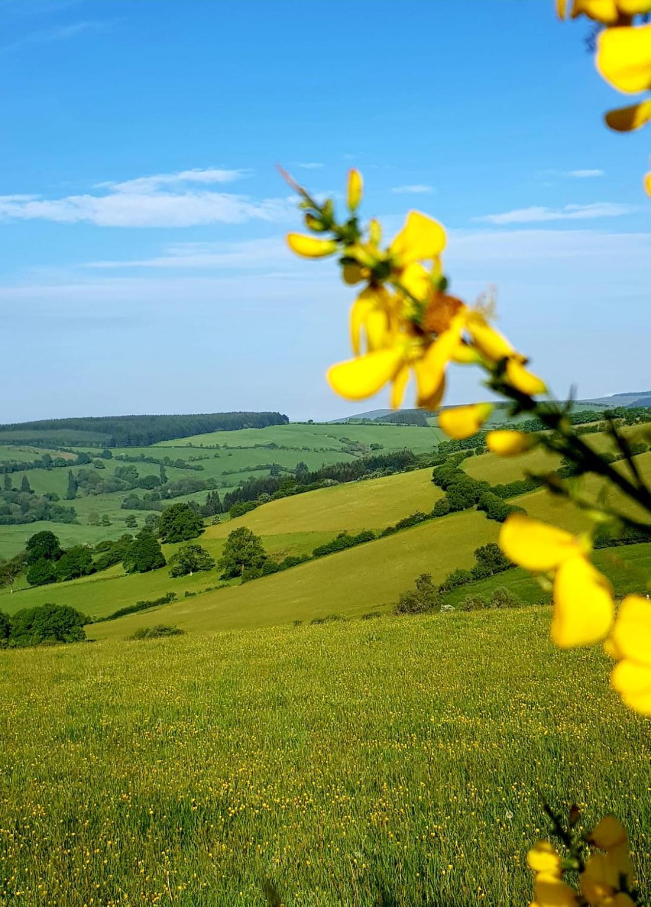 Eco Accommodation Cornflower Craven Arms Εξωτερικό φωτογραφία