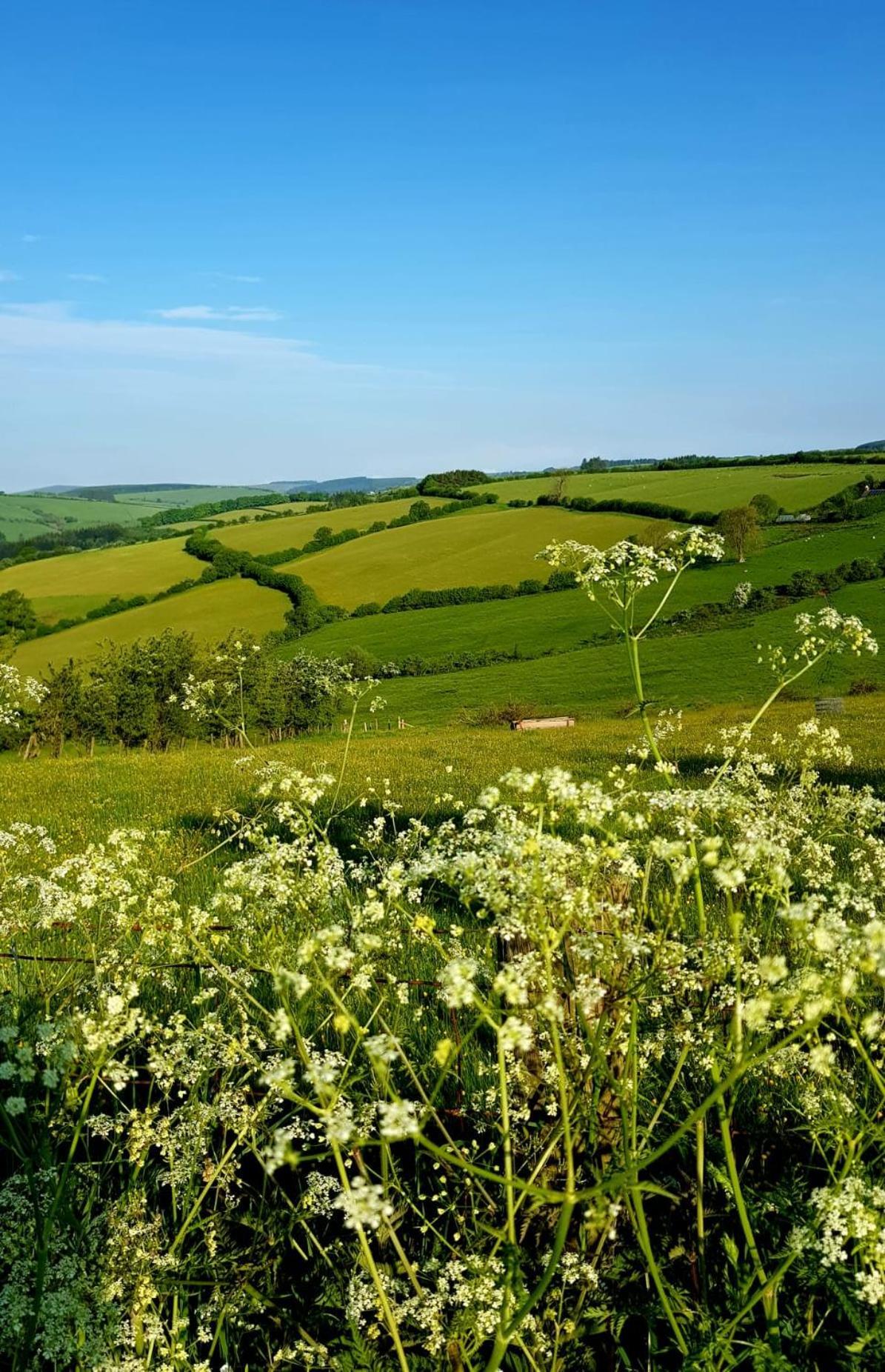 Eco Accommodation Cornflower Craven Arms Εξωτερικό φωτογραφία
